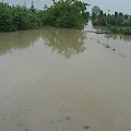 Godz. 15:36, ogród, max. poziom wody 240 cm #Powódź2010 #Wisła