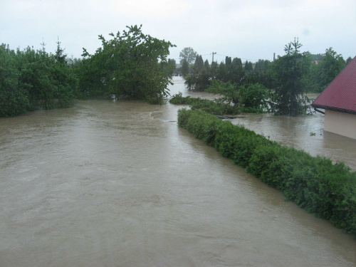 Godz. 9:23, ogród pod wodą #Powódź2010 #Wisła