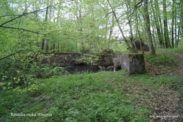 spacerek nad Wieprzą
Kruszka, most drogowy, przed nim ruiny dawnego młyna