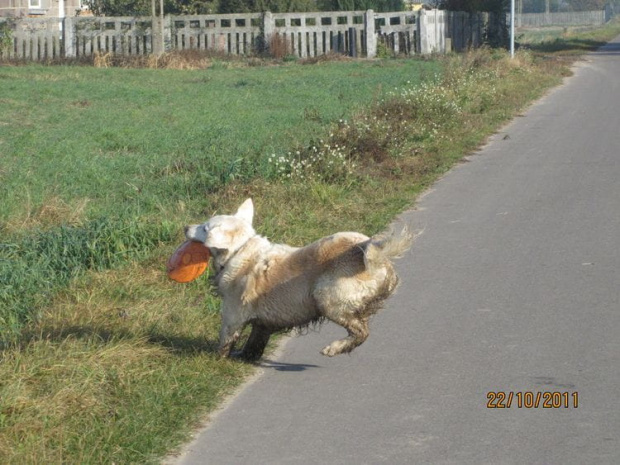 nie mogę się dogadać bo i tu ziemia-ziemia