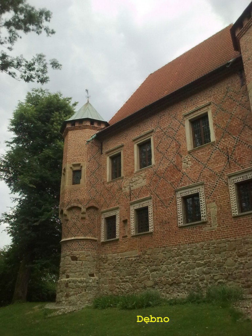 Zamek w Dębnie