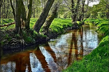 Struga...wiosenna...Mazowsze #krajobraz #rzeka #wiosna