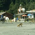 Malinalco