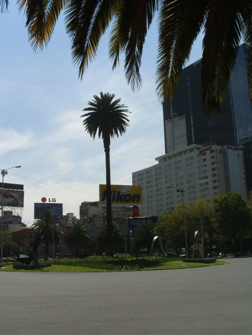 Ulica Paseo de la Reforma....Mexico City