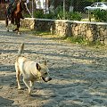 Malinalco