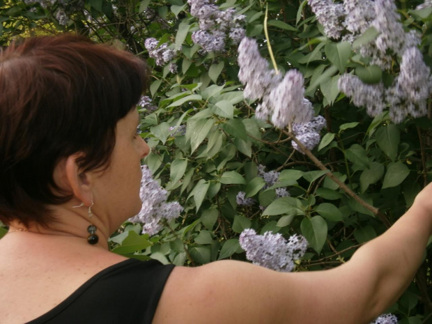 Kolejne zdjęcia z zajęć praktycznych Studium kształcącego w zawodzie florysta udostępniła Renata Galas. Jednostki lekcyjne: Kompozycje w naczyniu, Pozyskiwanie materiału florystycznego, Kopozycje w naczynku #Sobieszyn #Brzozowa #Florysta