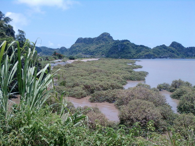 Wyspa Cát Bà #Wietnam