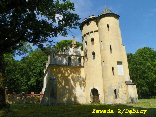 Fragment zamku w Zawadzie k/Dębicy