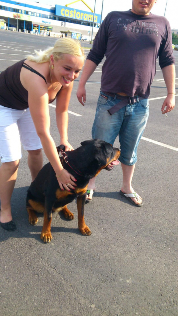 ostatnie mizianko ciotki i Lola rusza w drogę