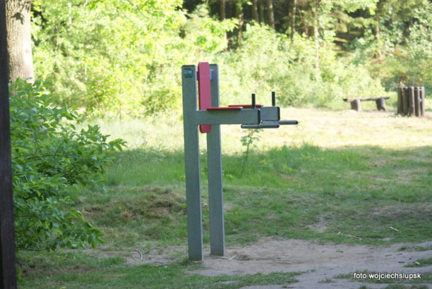 Lasek Północny tereny rekreacyjne Słupsk