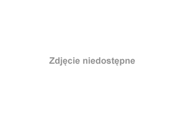 na wsi byłam :)) #Chomiąża #koguciki #koguty #liliputy #podwórko #ptaki #wieś #wiosna
