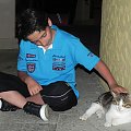 Marmurkowa kotka (17) i miejscowy "koci tata" #Koty #Side #Turcja