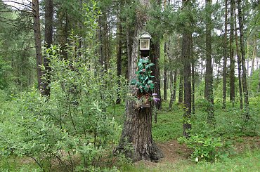 #kapliczki #las #modraki #PaprocieLeśne #pole #rzeczka #staw #wieś