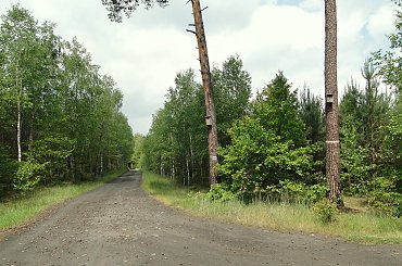 #kapliczki #las #modraki #PaprocieLeśne #pole #rzeczka #staw #wieś