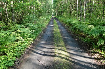 #kapliczki #las #modraki #PaprocieLeśne #pole #rzeczka #staw #wieś