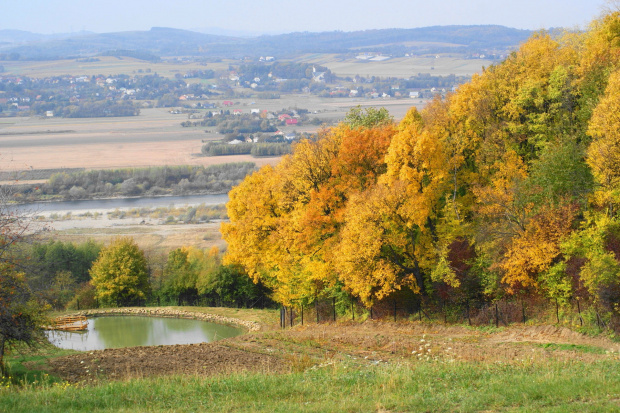 przyroda, jesień #jesień #przyroda