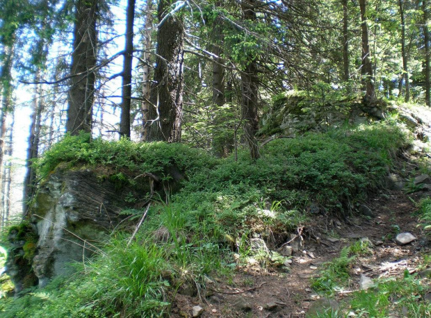 Wychodnia skalna w okolicach polany Figurki Średnie #góry #beskidy #gorce #kudłoń