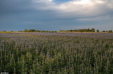 Po drodze... #arietiss #HDR #krajobraz #pole #Polska #wieś
