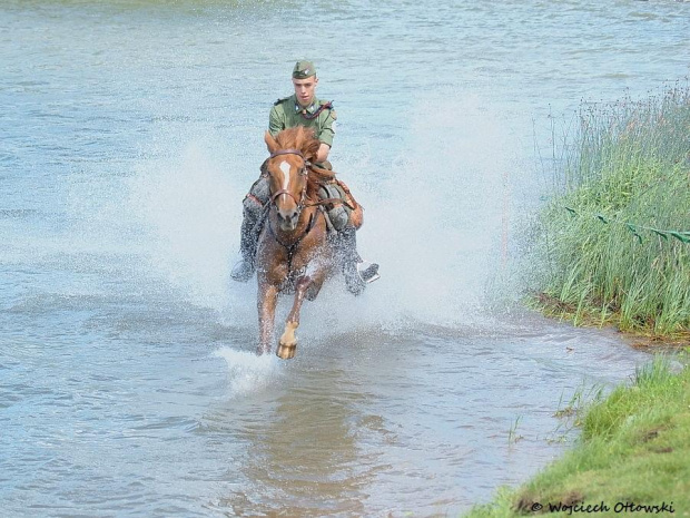 XII Piknik kawaleryjski w Suwałkach, Próba dzielności konia, Zalew Arkadia, 23 czerwca 2012 #kawaleria #konie #PiknikKawaleryjski #Suwałki