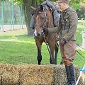 XII Piknik kawaleryjski w Suwałkach, Próba dzielności konia, Zalew Arkadia, 23 czerwca 2012 #kawaleria #konie #PiknikKawaleryjski