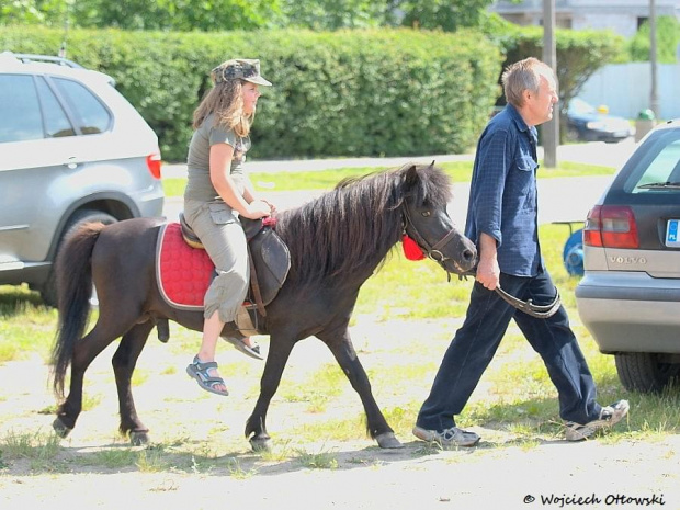 XII Piknik kawaleryjski w Suwałkach, 24 czerwca 2012 #PiknikKawaleryjski #Suwałki #konie #kawaleria