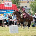 XII Piknik kawaleryjski w Suwałkach, 24 czerwca 2012 #PiknikKawaleryjski #Suwałki #konie #kawaleria