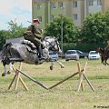 XII Piknik kawaleryjski w Suwałkach, 24 czerwca 2012 #PiknikKawaleryjski #Suwałki #konie #kawaleria