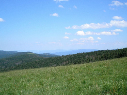 Beskid Sądecki z polany Jaworzyna Kamienicka #góry #beskidy #gorce #JaworzynaKamienicka #HalaMłyńska