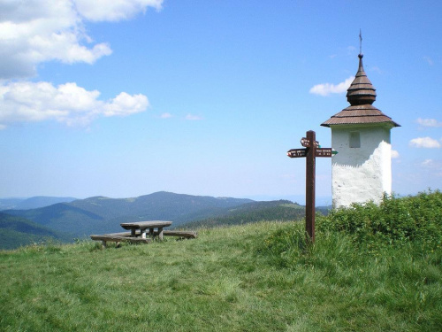 Na polanie Jaworzyna Kamienicka #góry #beskidy #gorce #JaworzynaKamienicka #HalaMłyńska