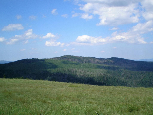 Kudłoń z polany Jaworzyna Kamienicka #góry #beskidy #gorce #JaworzynaKamienicka #HalaMłyńska