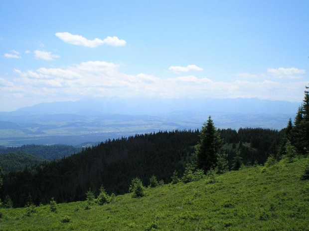 Tatry z Hali Młyńskiej #góry #beskidy #gorce #JaworzynaKamienicka #HalaMłyńska