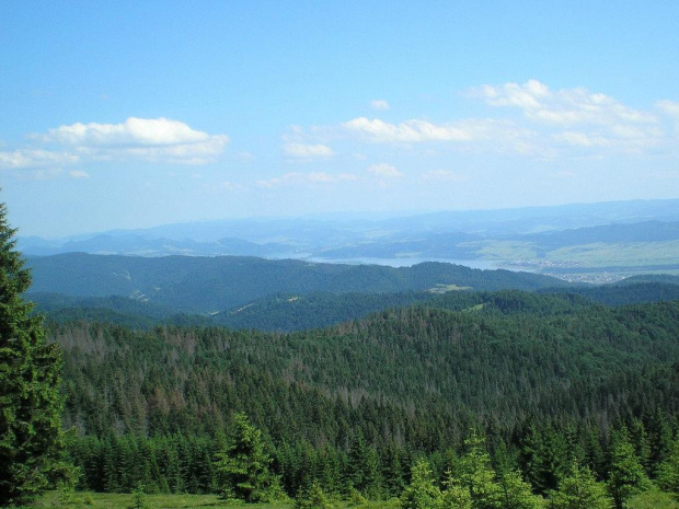 Pieniny i Jezioro Czorsztyńskie z Hali Młyńskiej #góry #beskidy #gorce #JaworzynaKamienicka #HalaMłyńska