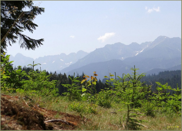 tatry ..widok z Bukowiny