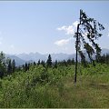 tatry ..widok z Bukowiny