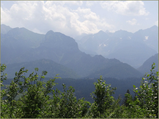 tatry ..widok z Bukowiny