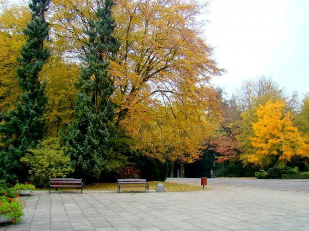 Cmentarz Centralny w Szczecinie , tuż przed świętem ...