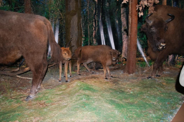 Białowieża, Święta Góra Grabarka