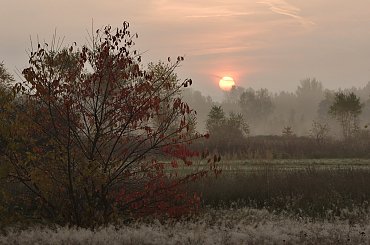 #łąki #mgły #natura #niebo #przyroda #WschódSłońca