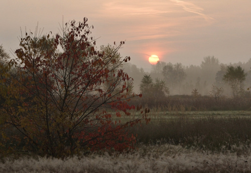 #łąki #mgły #natura #niebo #przyroda #WschódSłońca