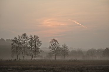 #łąki #mgły #natura #niebo #przyroda #WschódSłońca