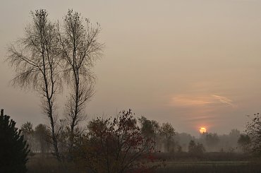 #łąki #mgły #natura #niebo #przyroda #WschódSłońca