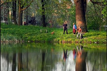 wieczorkiem nad stawem #krajobraz #wieś #odbicia