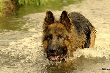 #Parys #GildoWiernyDruh