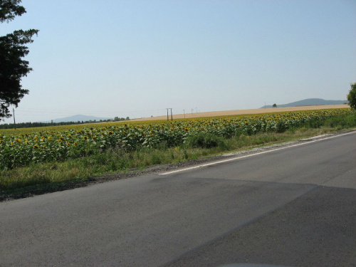 Droga 37 w okolicach Gór Zemplińskich #Węgry