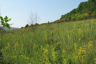 Okolice Erdohorvati #Węgry