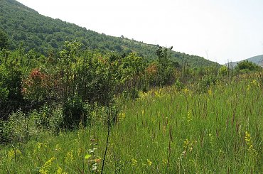 Okolice Erdohorvati #Węgry