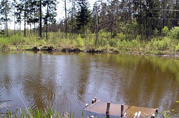 #Drwęca #Samborowo #krajobraz #rzeka