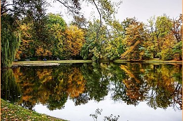 jesienny Wilanów #przyroda