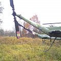 mi-2