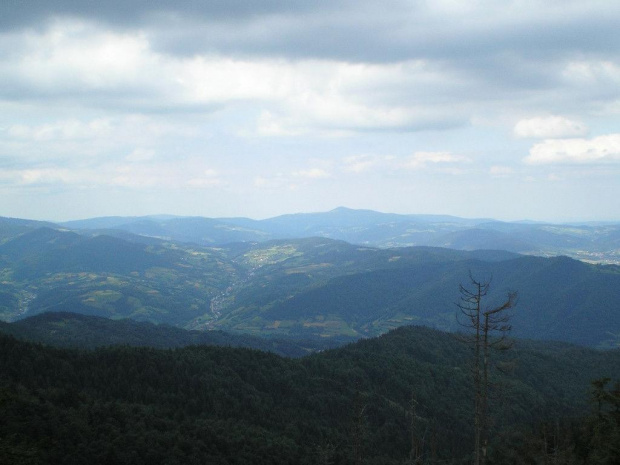 Mogielica spod Lubania #góry #beskidy #gorce #lubań #PrzełęczSnozka